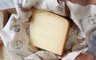 Cómo conservar el queso