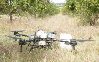 Biosuero realiza tratamientos foliares con derivados de suero lácteo mediante drones para mejorar la eficacia de la aplicación